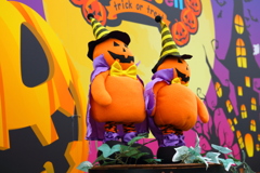 ハロウィン ハロウィン