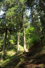 里山の登山道