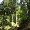 里山の登山道