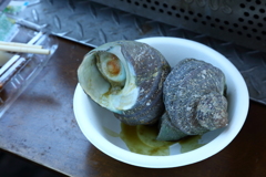 サザエ