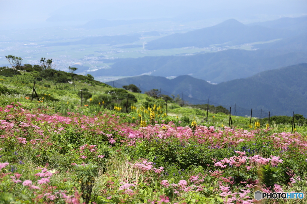 夏の山