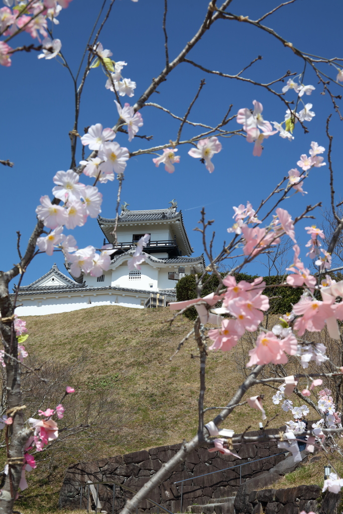 掛川城