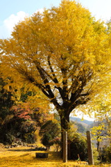 愛知県松平郷