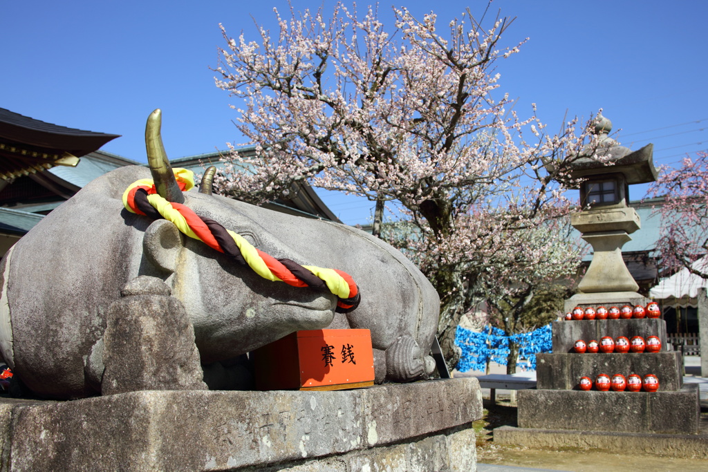 岩津天神１