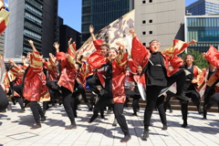 にっぽんど真ん中祭り