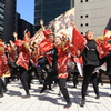 にっぽんど真ん中祭り
