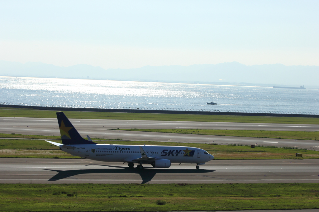 中部国際空港