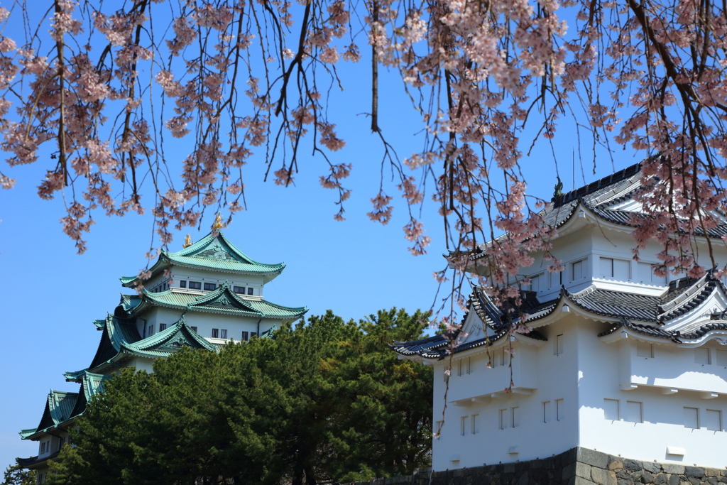 名古屋城