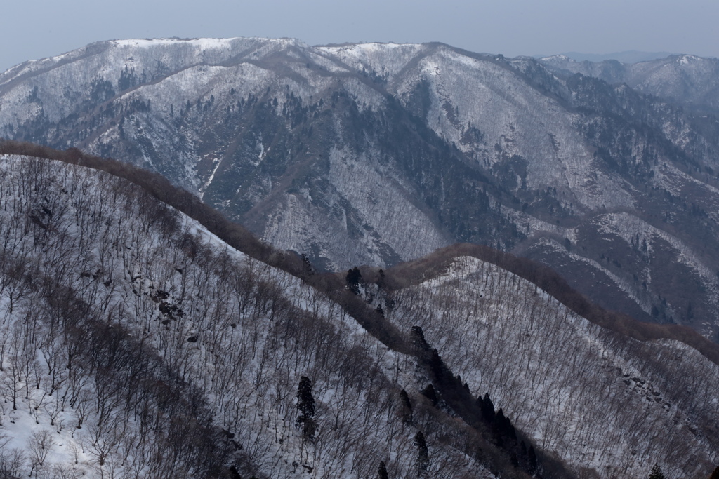 早春の山２