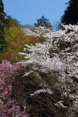 山城春風景