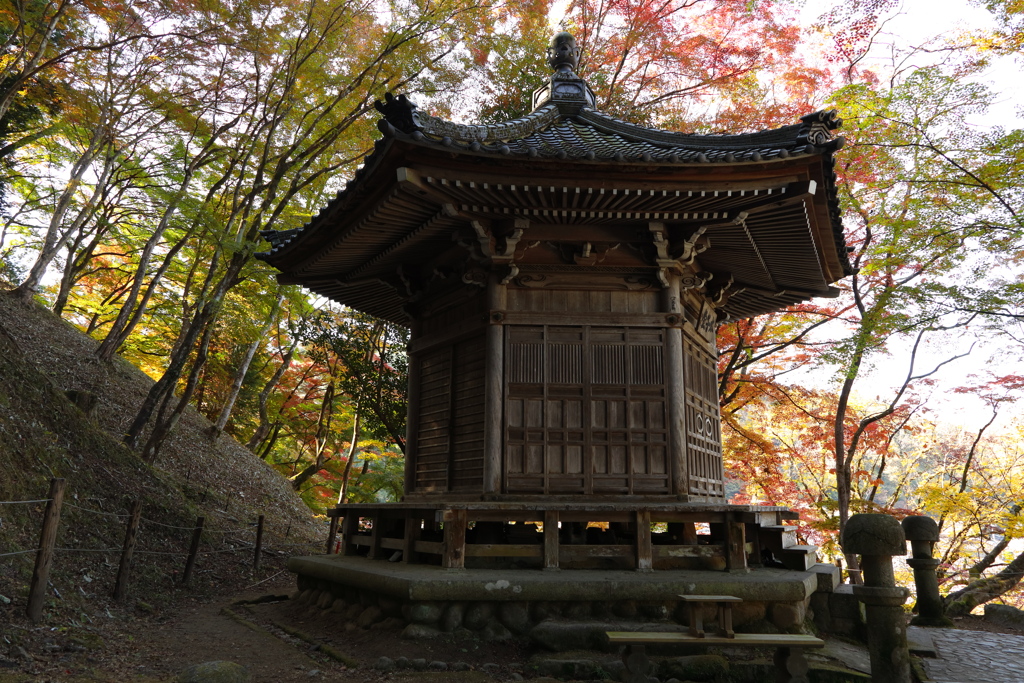 山里