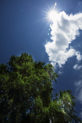 梅雨の晴れ間