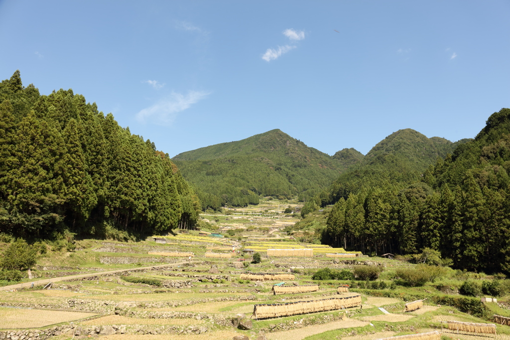 秋風景５