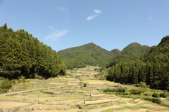 秋風景５