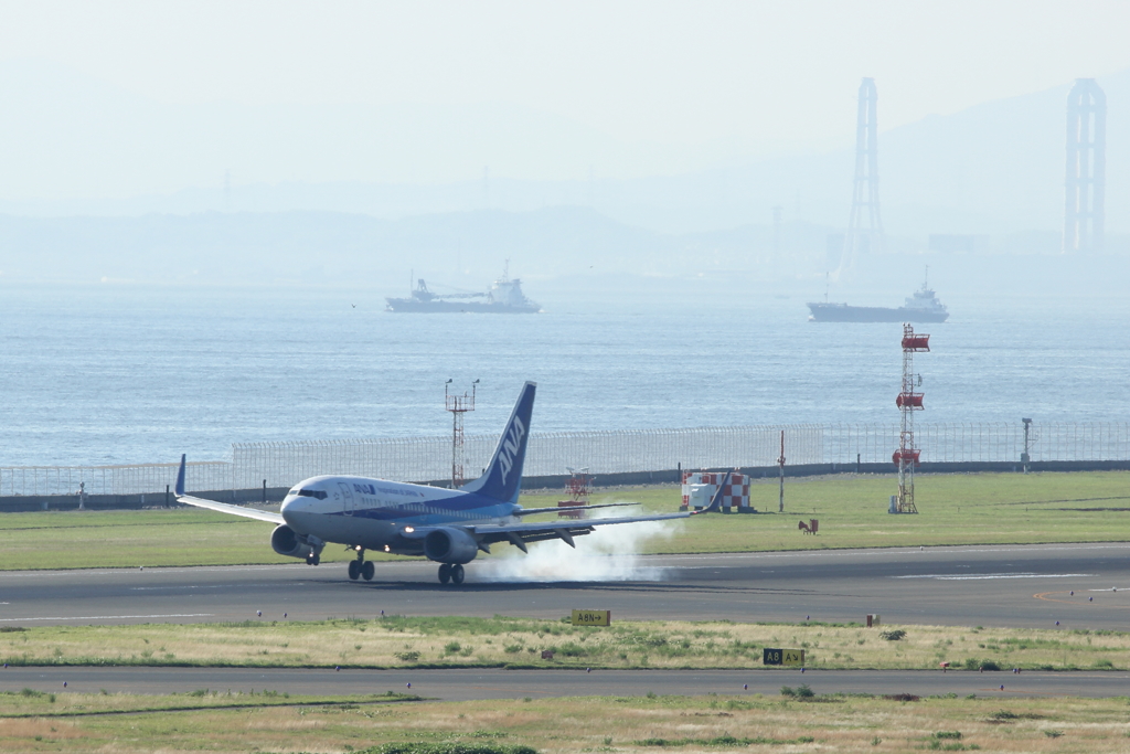 中部国際空港