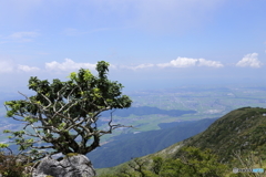 夏の山