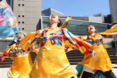 にっぽんど真ん中祭り