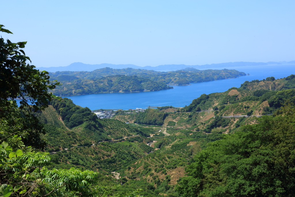 峠から見た海岸