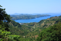峠から見た海岸