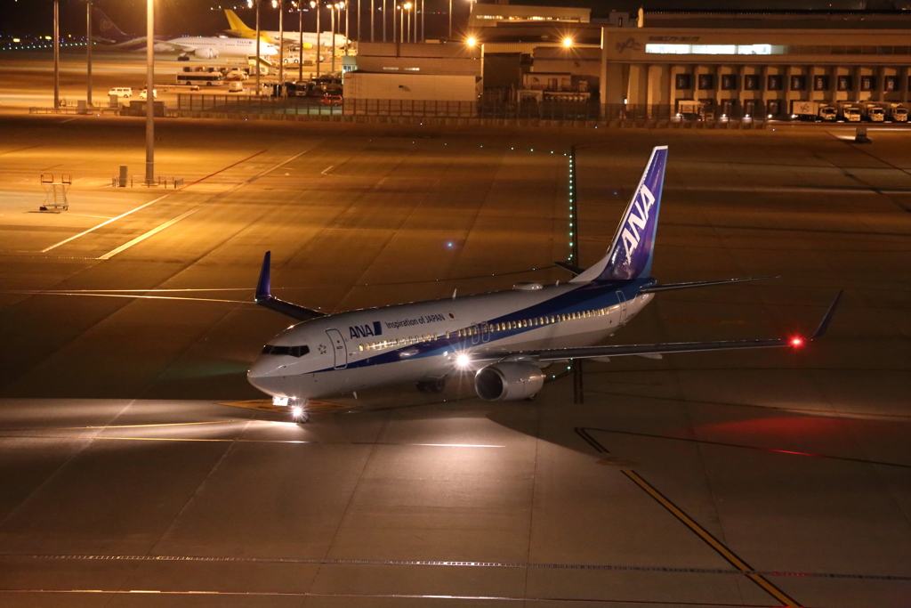 中部国際空港Ⅰ