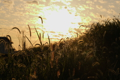 夕暮れ時