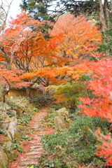 松平郷の紅葉