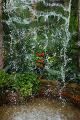 水のカーテン