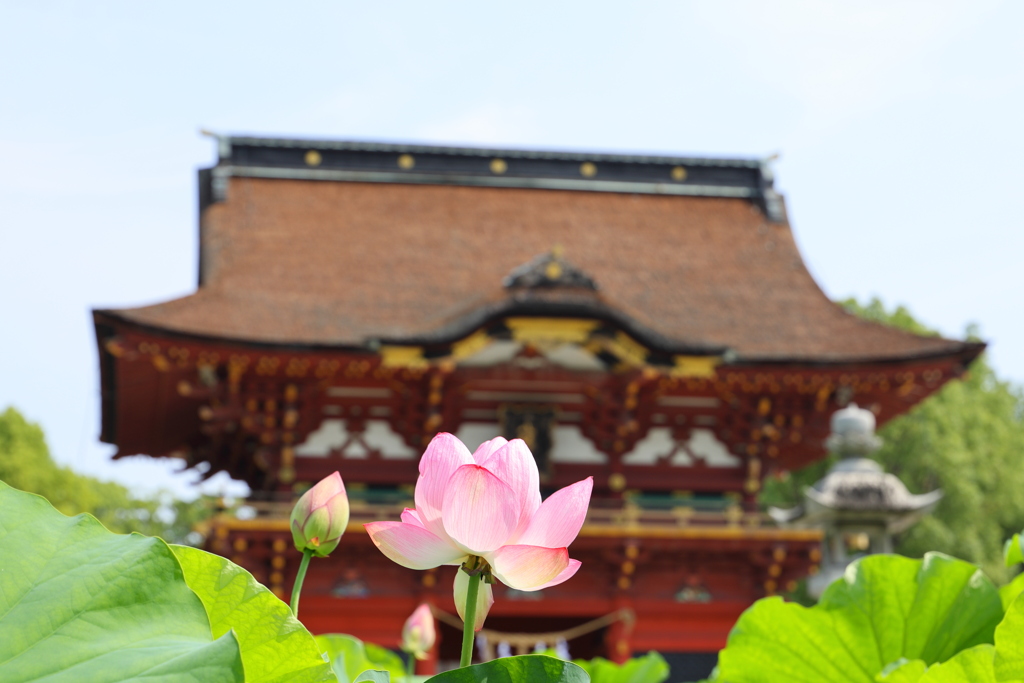 伊賀八幡宮