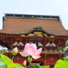 伊賀八幡宮