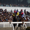 20140103川崎競馬3R