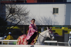 20140103川崎競馬
