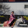 20140103川崎競馬