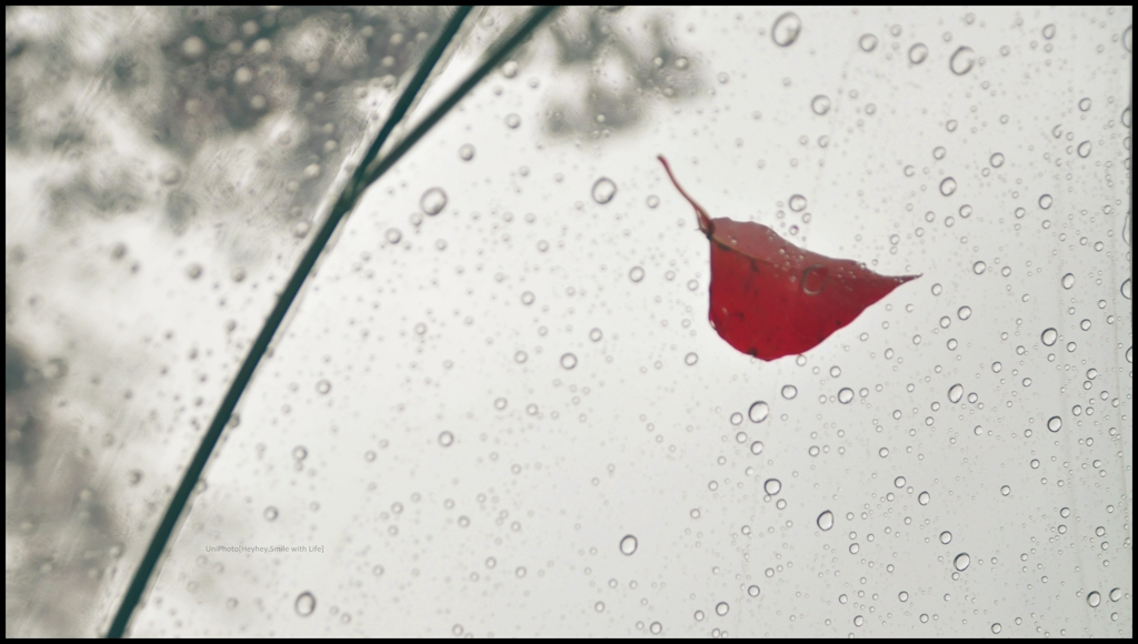 雨の下；