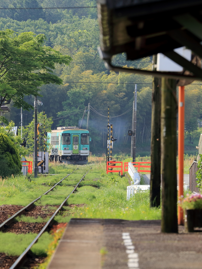 3号車に遭遇③