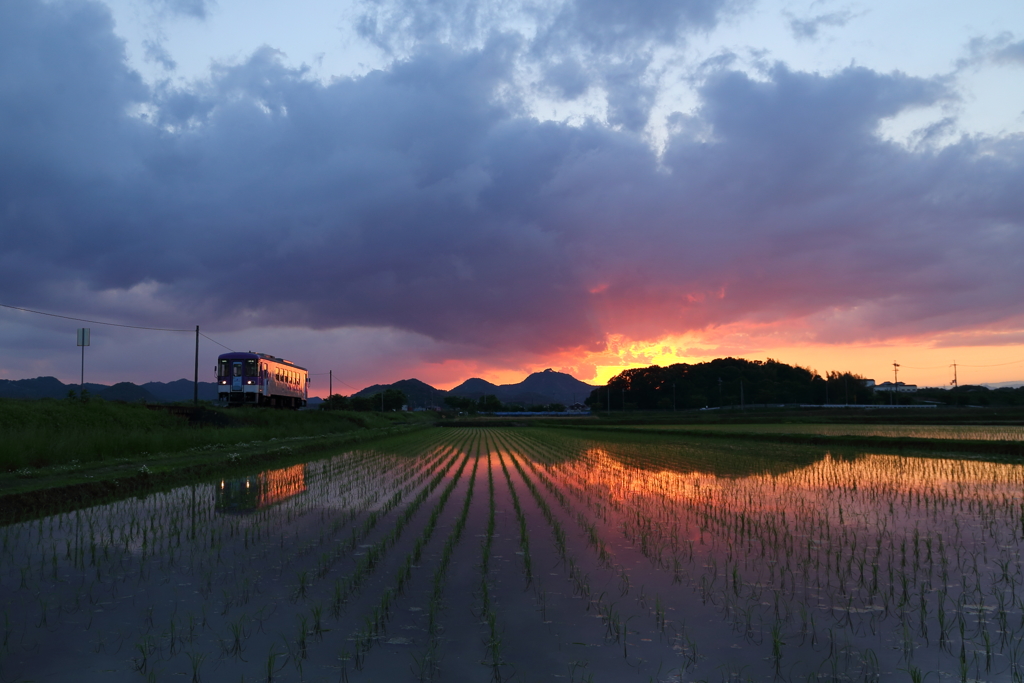 今年の水鏡、1st.ショット
