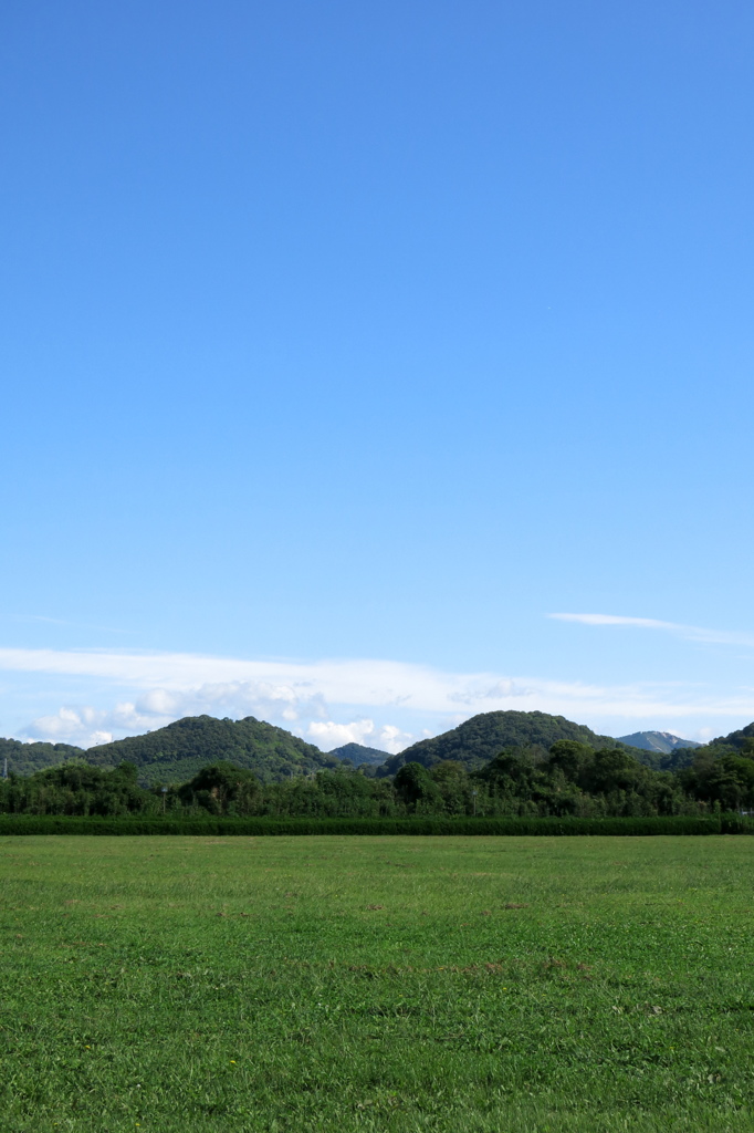 秋空に、らしくなかった今年の夏を想う２