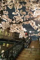 花の道③