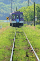 緑の軌道を走る