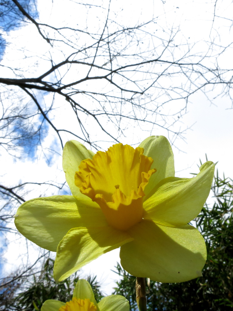 見上げた先は、お日様。