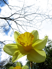 見上げた先は、お日様。