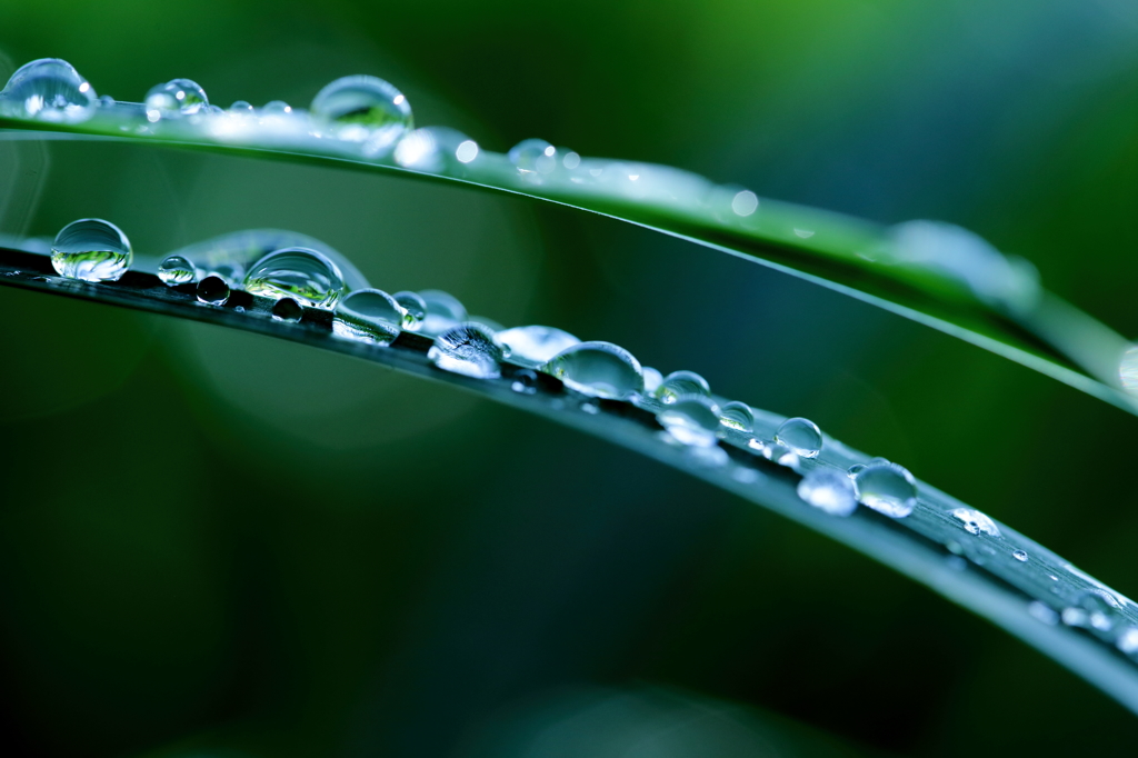 雨上がり　その１