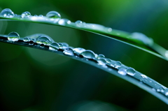 雨上がり　その１