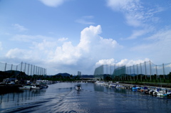 貴重な夏空