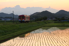 夕刻の田園風景を行く
