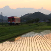 夕刻の田園風景を行く