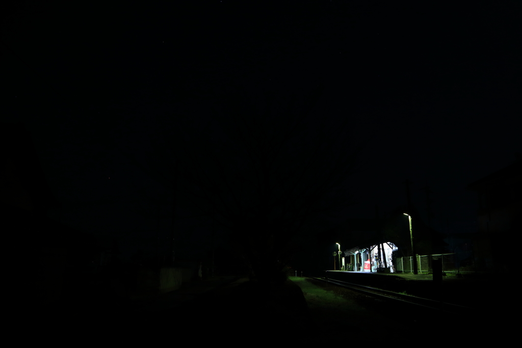 ホーム