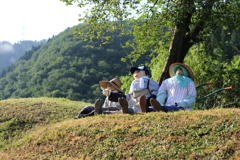 きょうはええ天気やなぁ