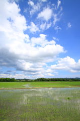梅雨の晴れ間に　１