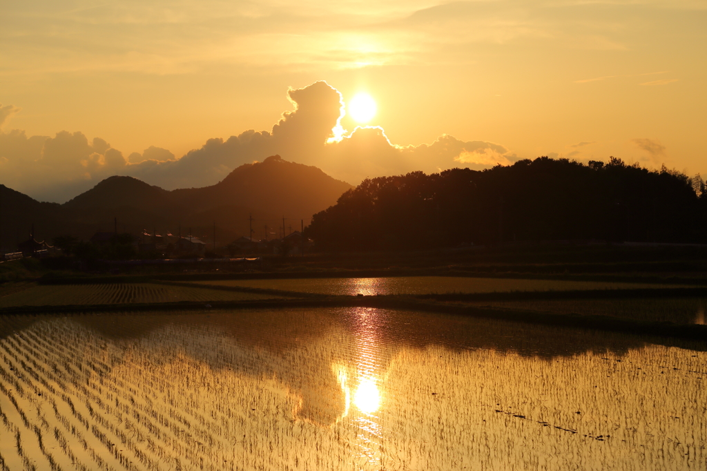 水鏡と夕日