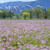 5月の青空に
